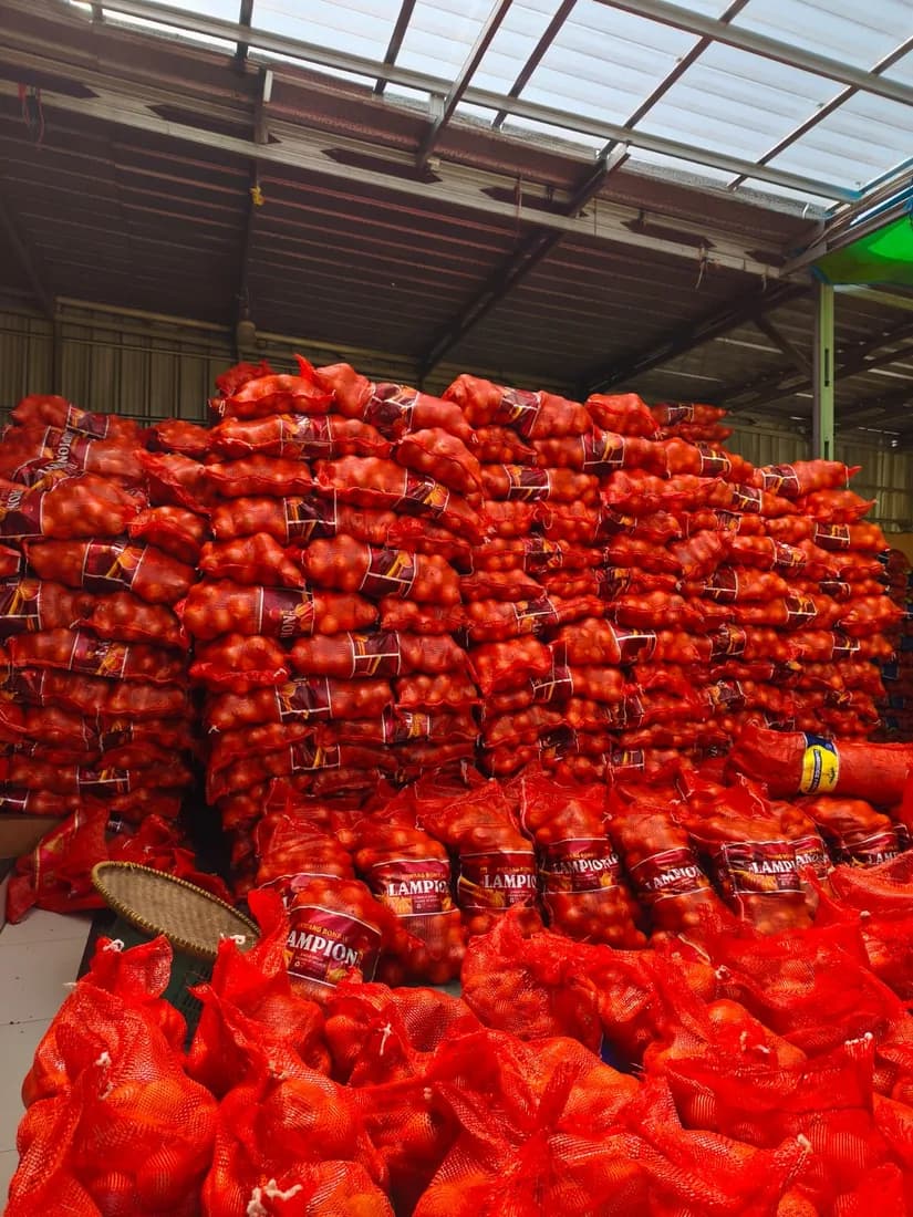 Tumpukan bawang bombay dalam karung merah di gudang