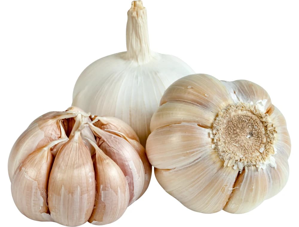 Bawang Putih utuh